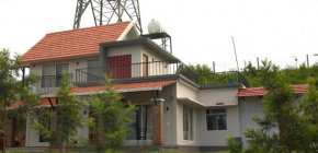 wild grove resorts